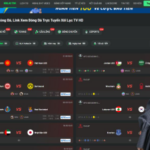 Why Xoilac Tivi is the Ultimate Hub for Supportersx